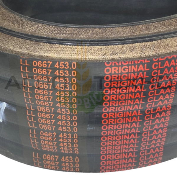 667453 - Ремінь Claas / Original 667453, 667453 Claas, Claas 667453, 667453 клаас, клаас 667453, 667453 Claas Original, Claas Original 667453