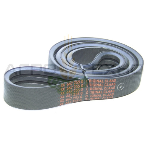667255  - Ремінь Claas / Original
