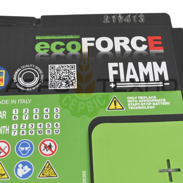 Fiamm AFB 60Ah 600A / TR600 Fiamm 60, Fiamm 60 600, акумулятор Fiamm 60, акб Fiamm, акумулятори Fiamm, Fiamm 60 AFB, Фіам 60, акумулятор Фіамм