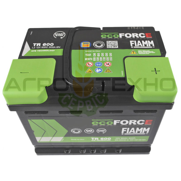 Fiamm AFB 60Ah 600A / TR600 Fiamm 60, Fiamm 60 600, акумулятор Fiamm 60, акб Fiamm, акумулятори Fiamm, Fiamm 60 AFB, Фіам 60, акумулятор Фіамм