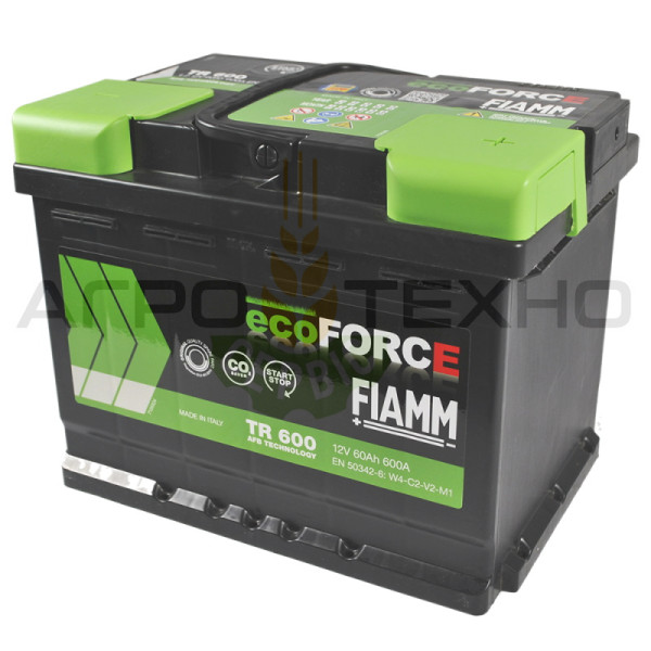 Fiamm AFB 60Ah 600A / TR600 Fiamm 60, Fiamm 60 600, акумулятор Fiamm 60, акб Fiamm, акумулятори Fiamm, Fiamm 60 AFB, Фіам 60, акумулятор Фіамм