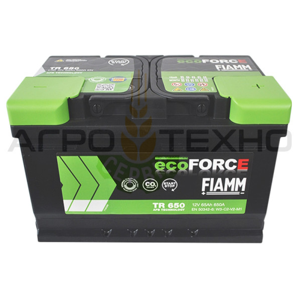 Fiamm 65 Ah 650A AFB / TR650 Fiamm 65 AFB, Fiamm 65 650, акумулятор Fiamm 65, акб Fiamm, акумулятори Fiamm, Fiamm 65 AFB, Фіам 65, акумулятор Фіамм