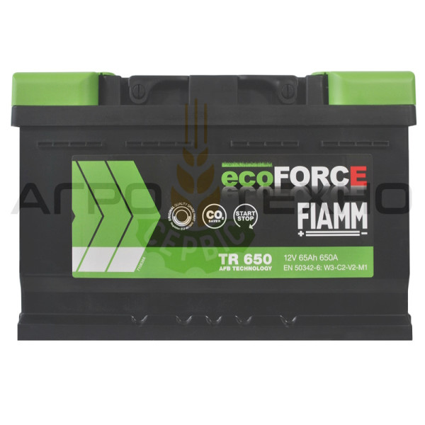 Fiamm 65 Ah 650A AFB / TR650 Fiamm 65 AFB, Fiamm 65 650, акумулятор Fiamm 65, акб Fiamm, акумулятори Fiamm, Fiamm 65 AFB, Фіам 65, акумулятор Фіамм