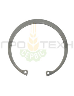 235193 - Кільце стопорне 100x3 Claas / Original