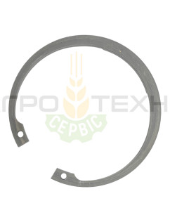 235194 - Кільце стопорне 110x4 Claas / Original