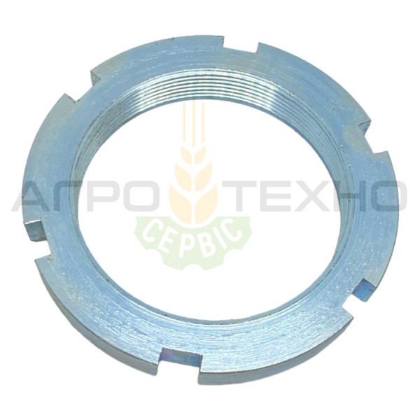 669922 - Гайка шліцева Claas / Alpha Parts