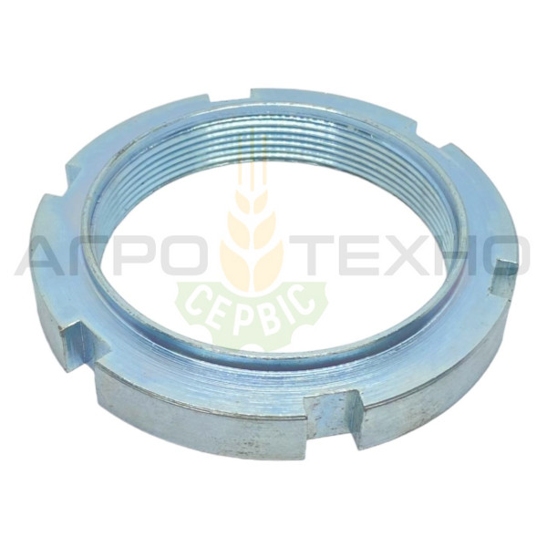 669922 - Гайка шліцева Claas / Alpha Parts