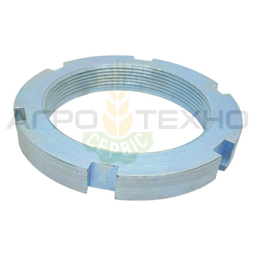 669922 - Гайка шліцева Claas / Alpha Parts