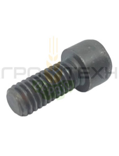 603825 - Болт Claas / Original