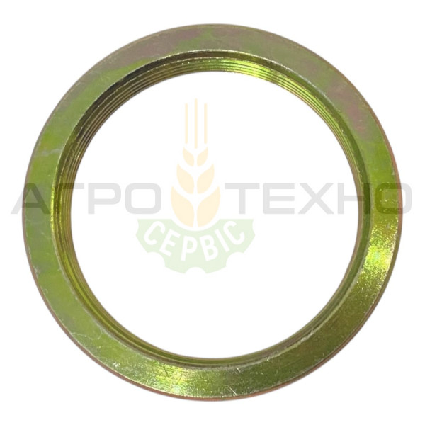 669639 - Гайка шліцева Claas / Alpha Parts