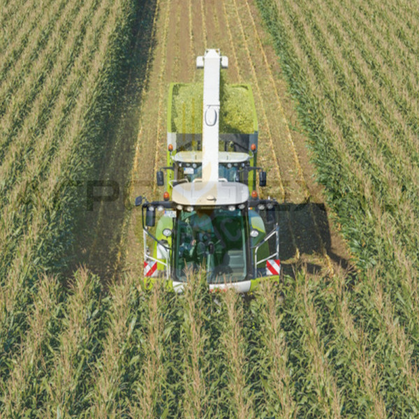 кормозбиральний комбайн, оренда кормозбирального комбайна, Claas Jaguar 840, Claas Jaguar 870, Claas Jaguar 890, збирання силосу, збирання сінажу, кормозбиральна техніка, послуги комбайна Київська область, прокат комбайнів Переяслав-Хмельницький, ATS-Part