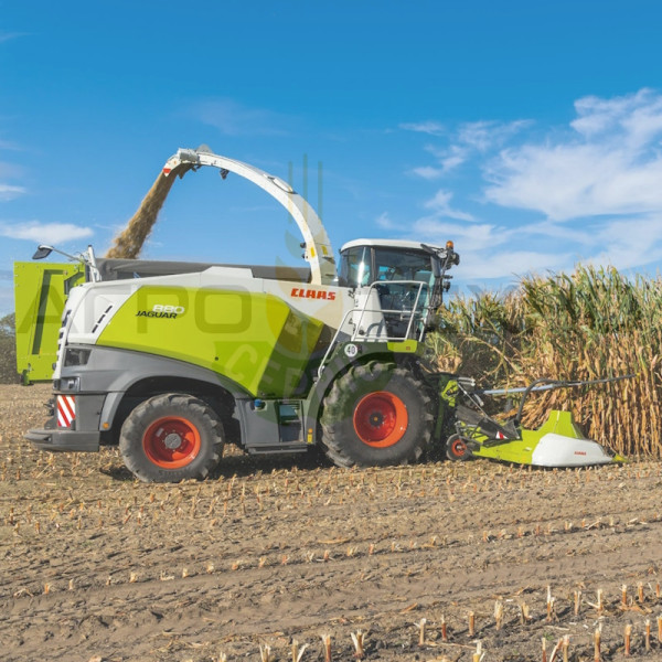 Оренда кормозбирального комбайна Claas Jaguar / Київська область кормозбиральний комбайн, оренда кормозбирального комбайна, Claas Jaguar 840, Claas Jaguar 870, Claas Jaguar 890, збирання силосу, збирання сінажу, кормозбиральна техніка, послуги комбайна Київська область, прокат комбайнів Переяслав-Хмельницький, ATS-Part