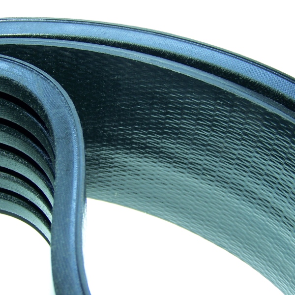 667452 - Ремінь Claas / TAGEX 667452 - Ремінь Claas / TAGEX